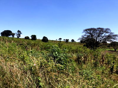 143 Acres Available for Sale in Juja Along Kiganjo Road - Image 4