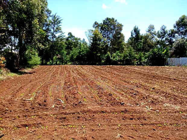 1/4 Plot Ilula 500m From Tarmac