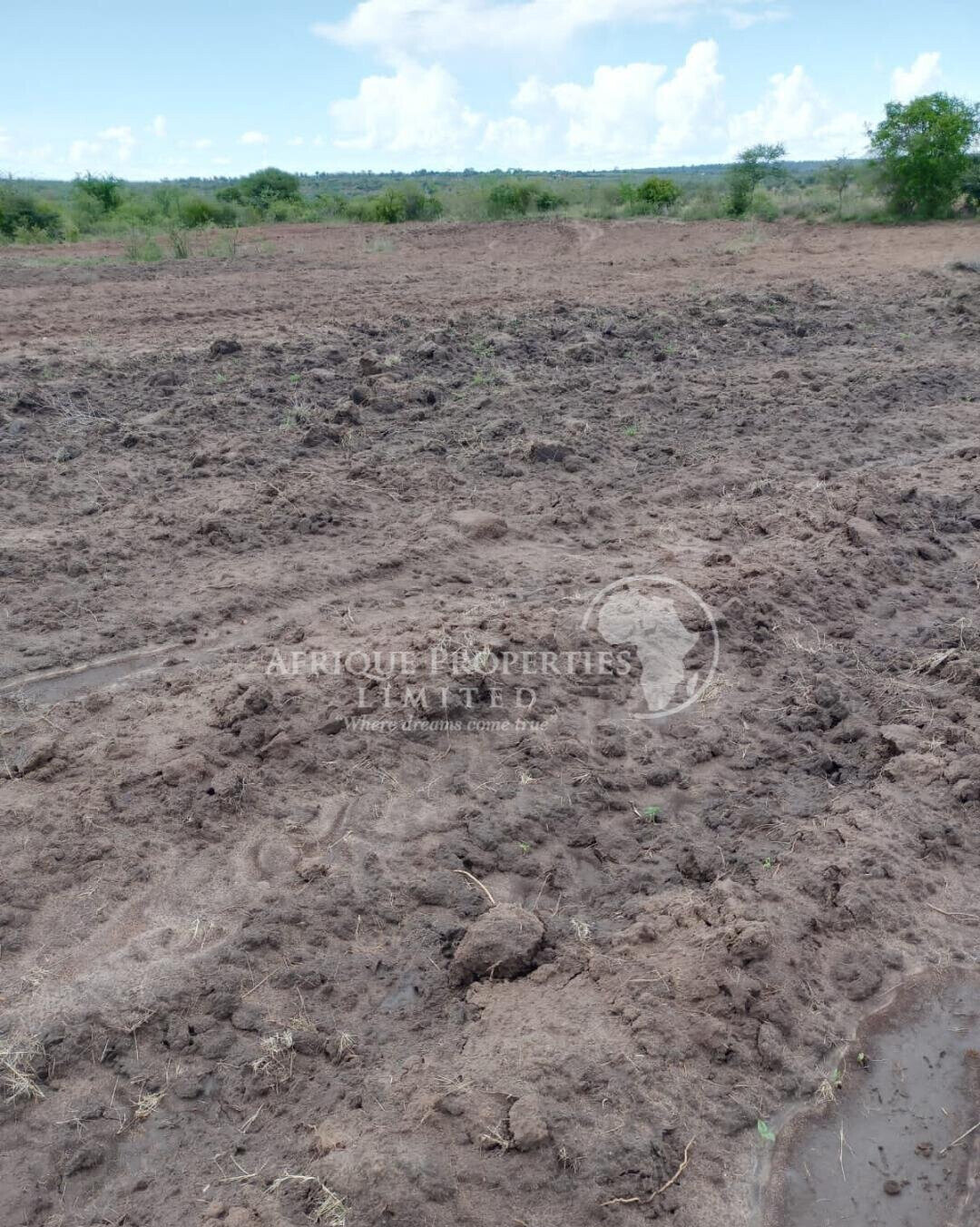 5-Acre Farm for Lease in Matuu