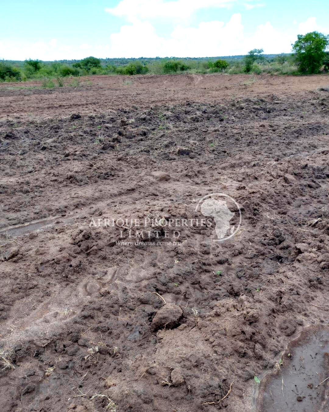 5-Acre Farm for Lease in Matuu