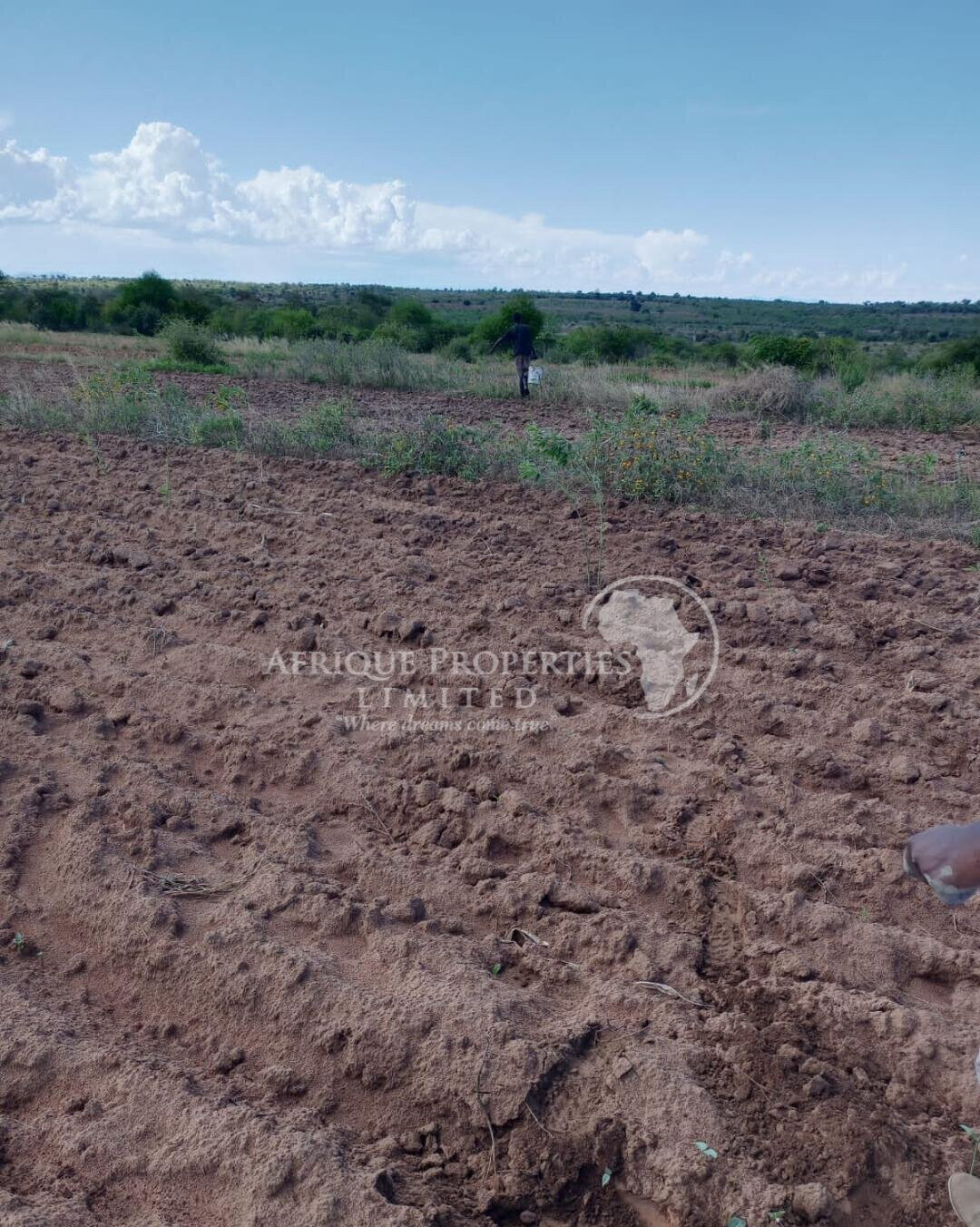 5-Acre Farm for Lease in Matuu