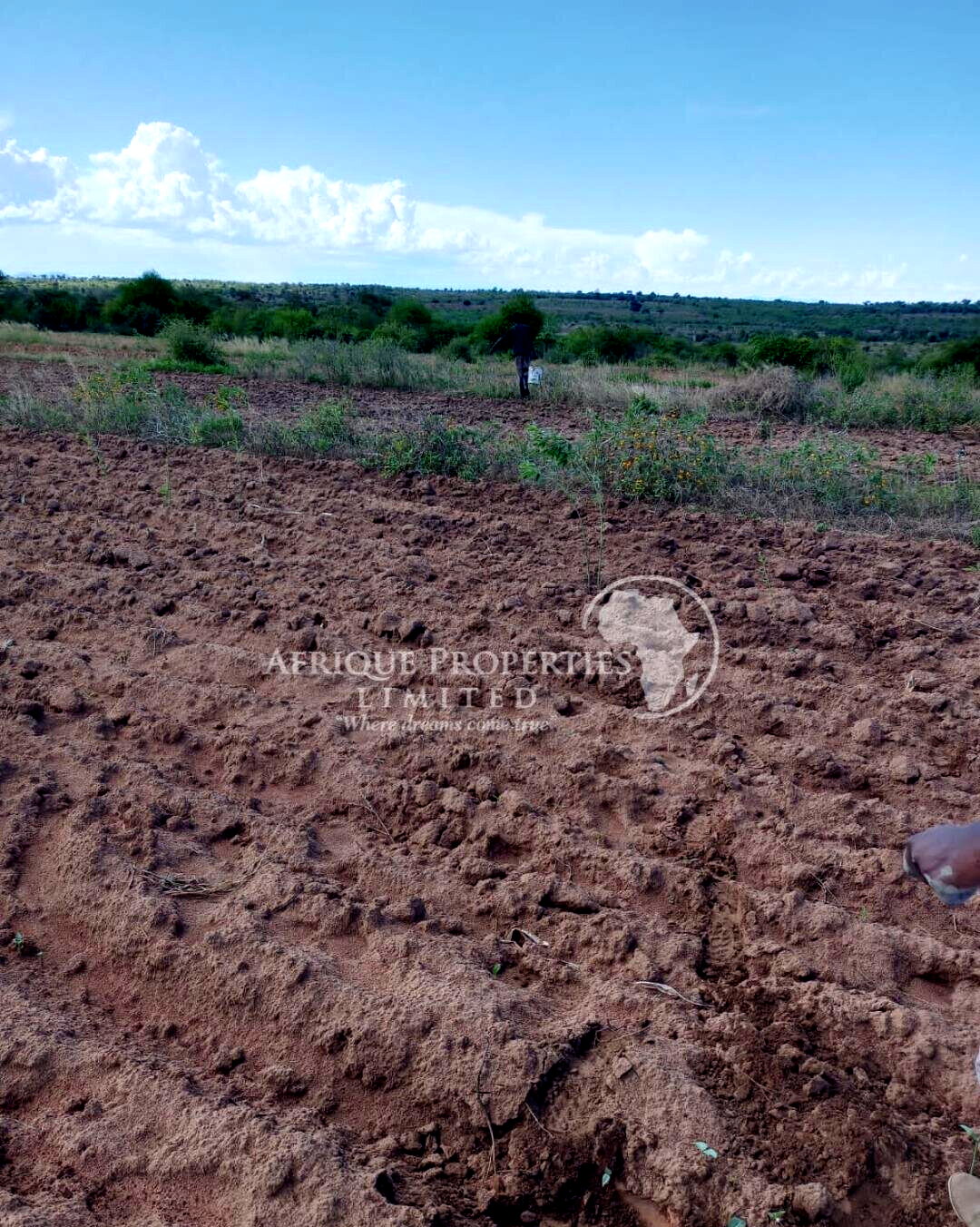 5-Acre Farm for Lease in Matuu