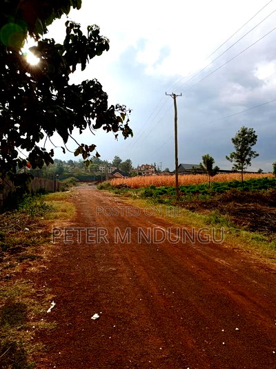 Land for Long Term Lease, 2 Acres - Image 3