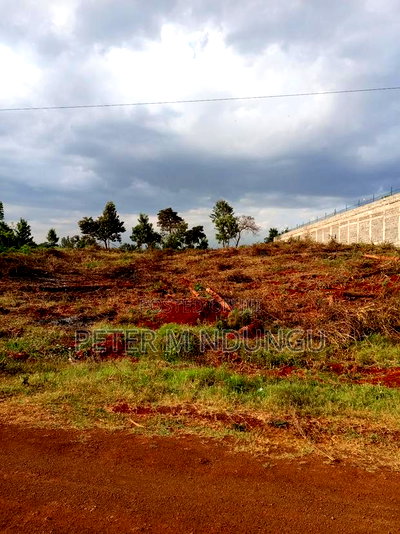 Land for Long Term Lease, 2 Acres - Image 5