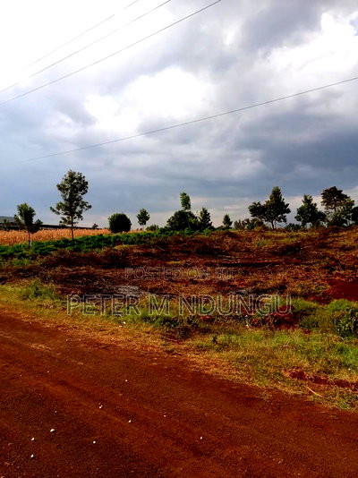 Land for Long Term Lease, 2 Acres - Image 4