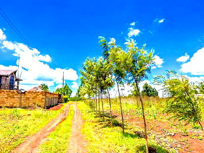 Prime Residential Plot For Sale In Kikuyu,Gikambura - Image 7