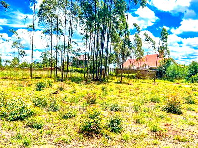 Prime Residential Plot For Sale In Kikuyu,Gikambura - Image 8