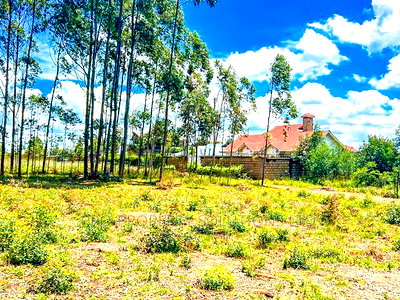 Prime Residential Plot For Sale In Kikuyu,Gikambura - Image 9