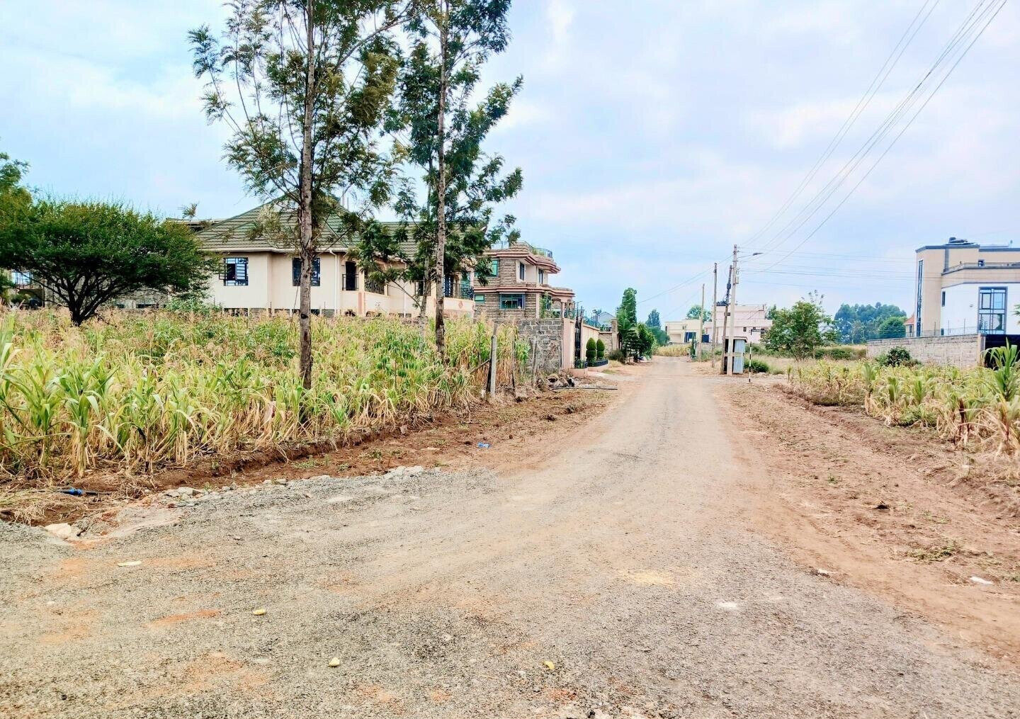 KSh 3.6M Plot in Croton Estate