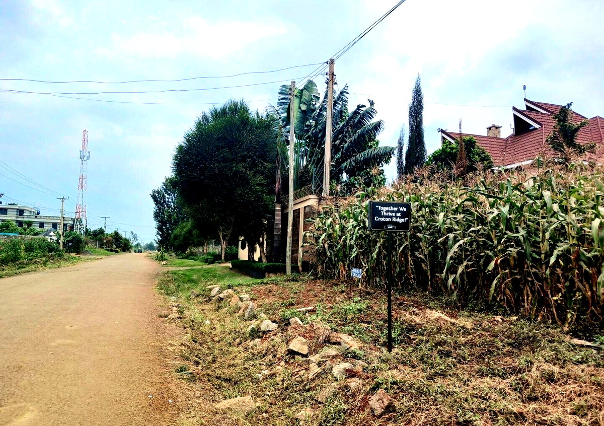 KSh 3.6M Plot in Croton Estate