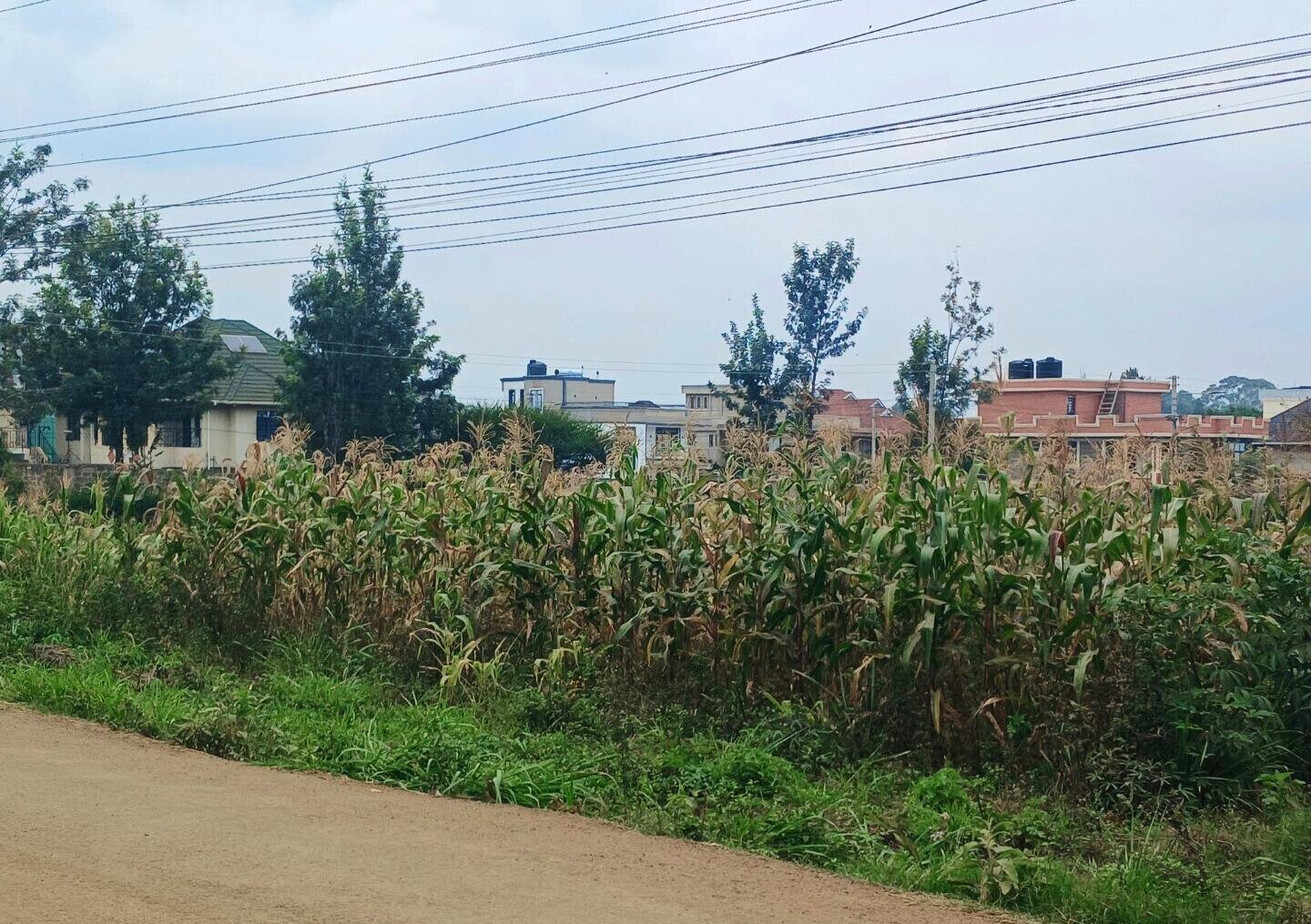 KSh 3.6M Plot in Croton Estate