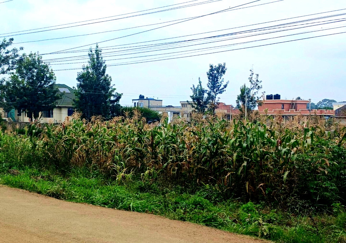 KSh 3.6M Plot in Croton Estate