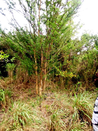 Malindi Land 10,000 Acres For Sale - Image 1