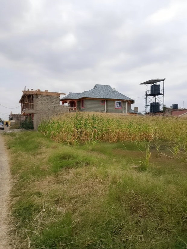 50*100 Plot for Sale in Mwihoko