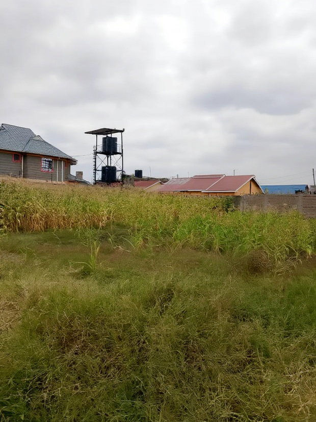 50*100 Plot for Sale in Mwihoko
