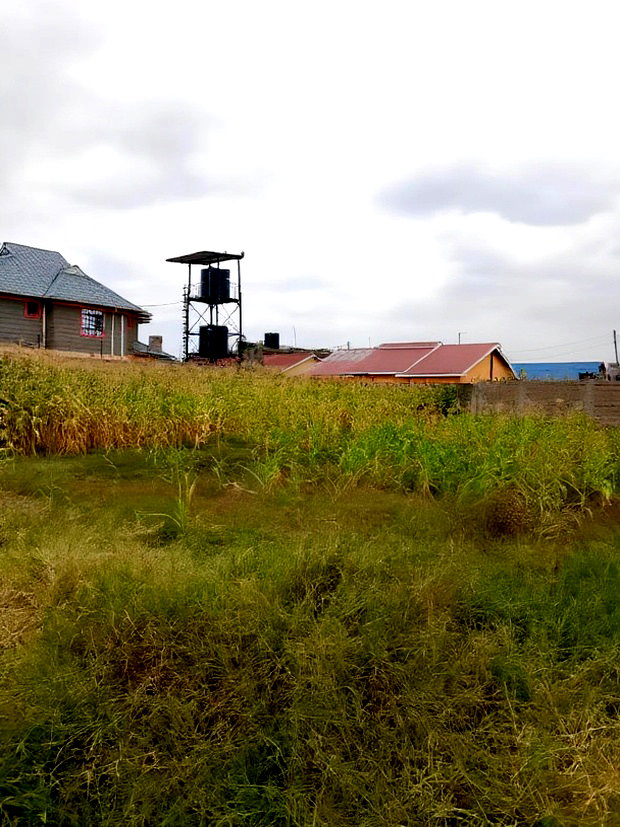 50*100 Plot for Sale in Mwihoko