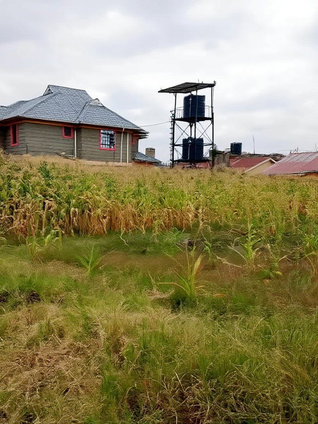 50*100 Plot for Sale in Mwihoko
