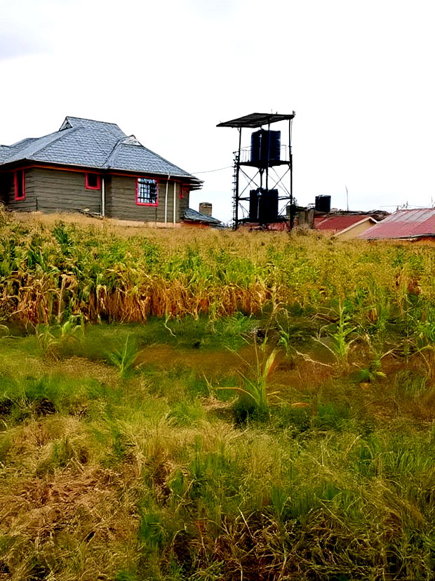 50*100 Plot for Sale in Mwihoko