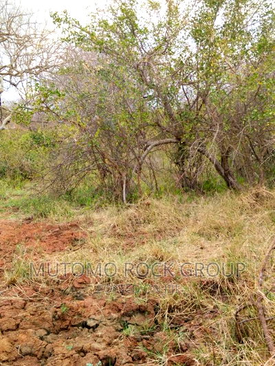 32acres for Sale - Image 2