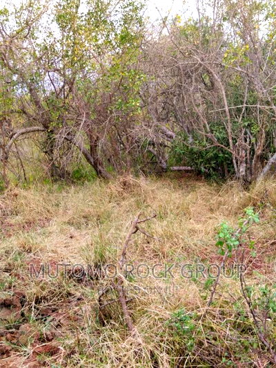 32acres for Sale - Image 1