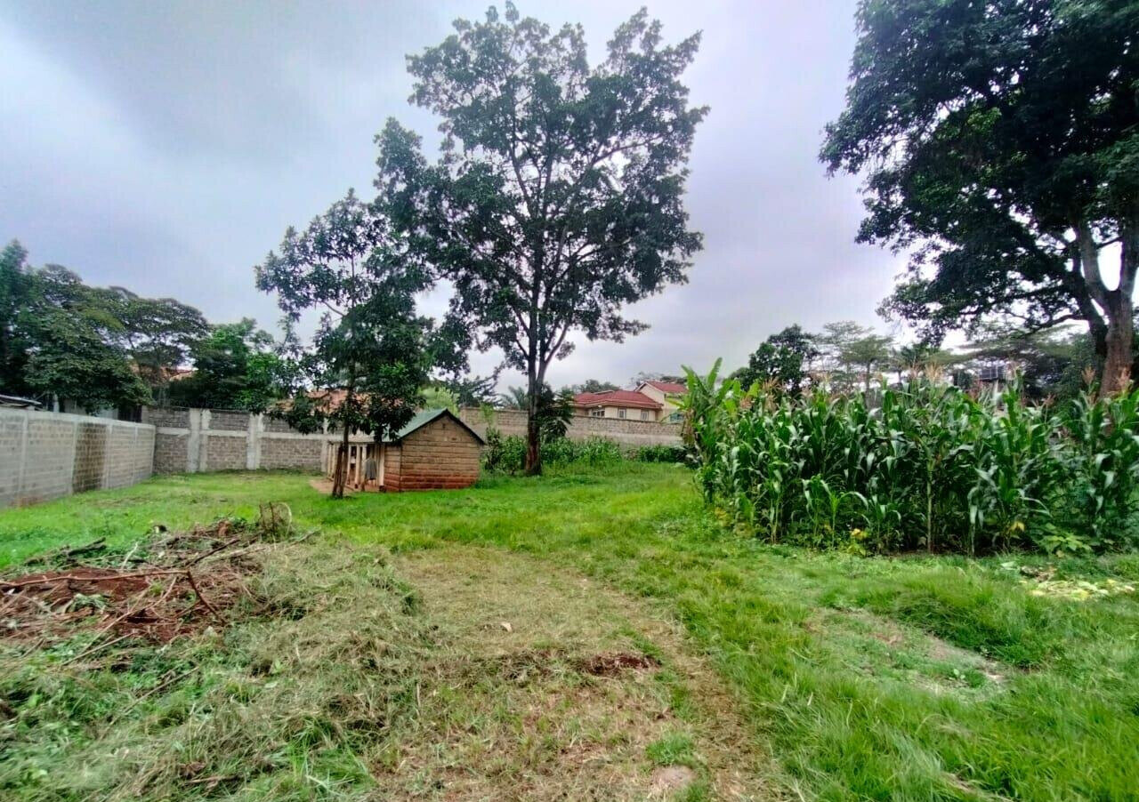 1 Acre Plot with Parking in Spring Valley