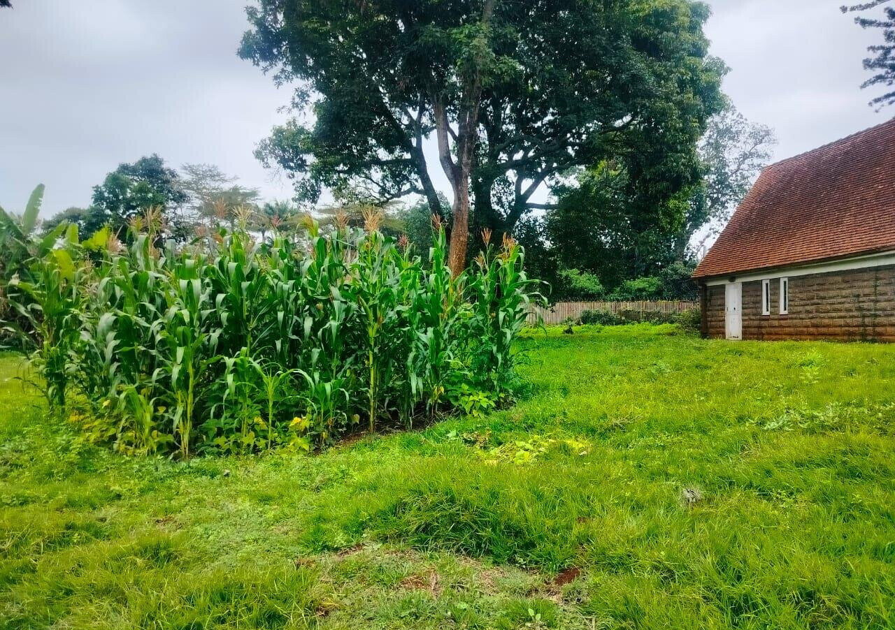 1 Acre Plot with Parking in Spring Valley