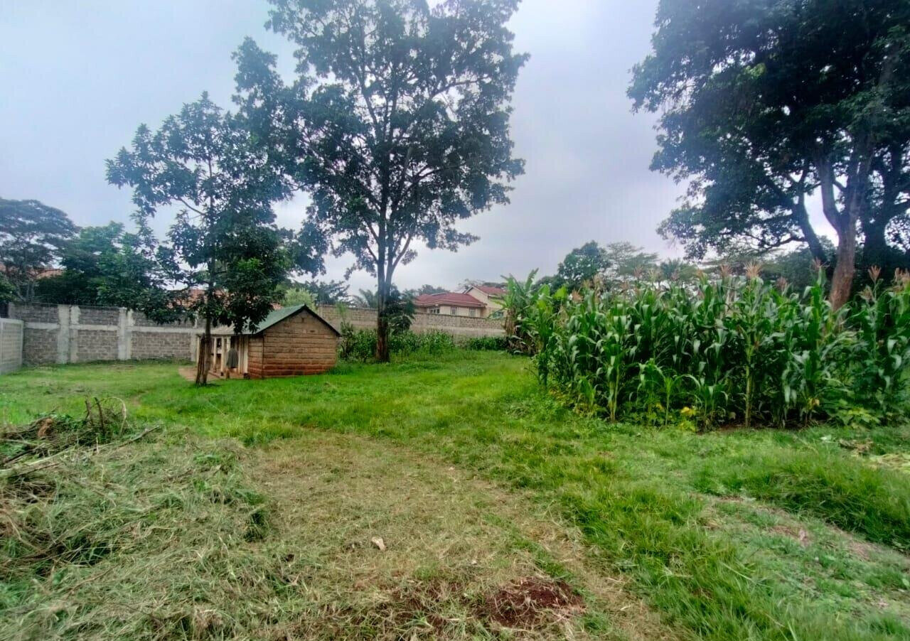 1 Acre Plot with Parking in Spring Valley