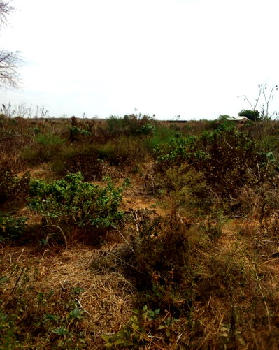 Garden Plot with Parking at KSh 450K