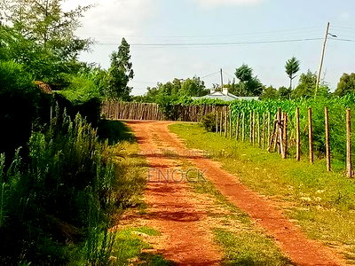 Prime 1/8 Acre Plots in Marura, Eldoret - Image 5