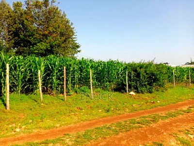 Prime 1/8 Acre Plots in Marura, Eldoret - Image 3