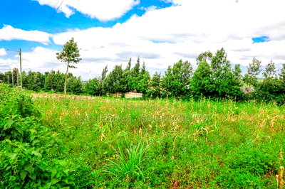 Prime Residential Plot Touching Tarmac for Sale in Kikuyu - Image 2