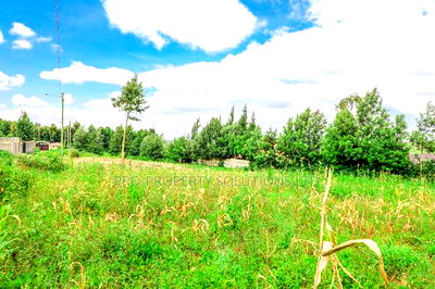 Prime Residential Plot Touching Tarmac for Sale in Kikuyu - Image 5