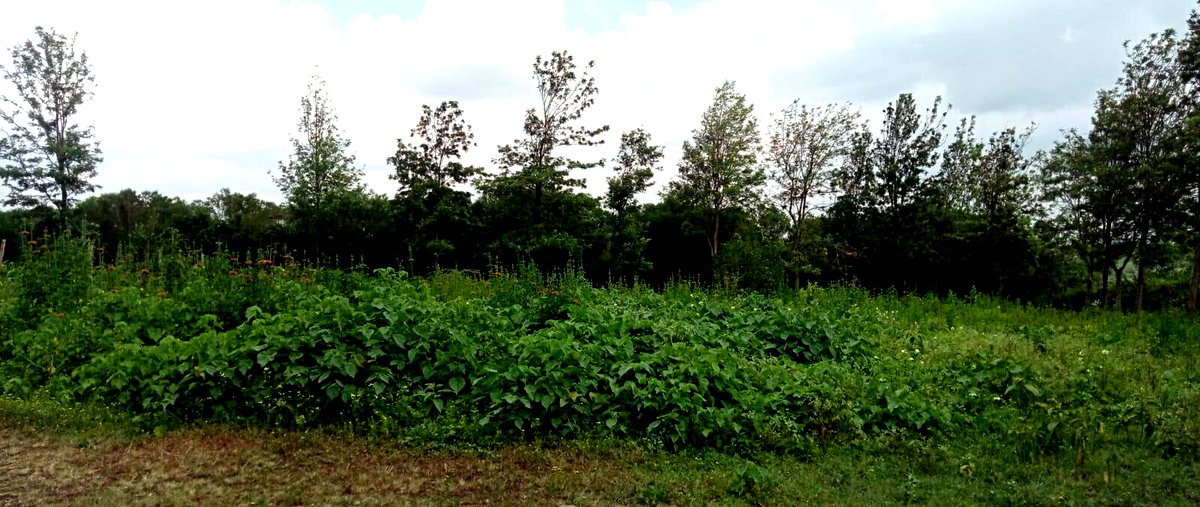 1 Acre Plot in Ngong CBD at KSh 8.5M