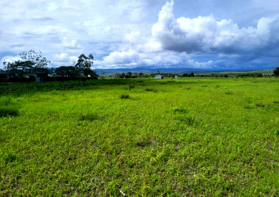 50x100 Plot for KSh 500K