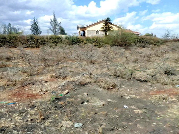 Prime 1/2 1/4 Plots for Sale Syokimau Katani Road