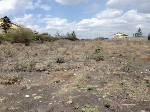Prime 1/2 1/4 Plots for Sale Syokimau Katani Road
