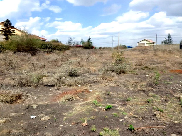 Prime 1/2 1/4 Plots for Sale Syokimau Katani Road