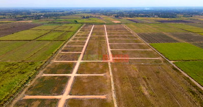 50x100 Garden Plot, KSh 599K
