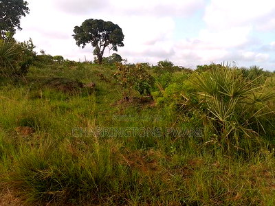 3 Acres in Mbuwani - Image 8