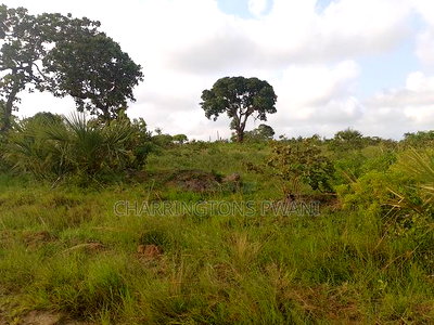 3 Acres in Mbuwani - Image 7