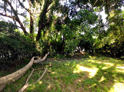 3/4 Acre Piece of Land for Sale in Kilimani - Image 4