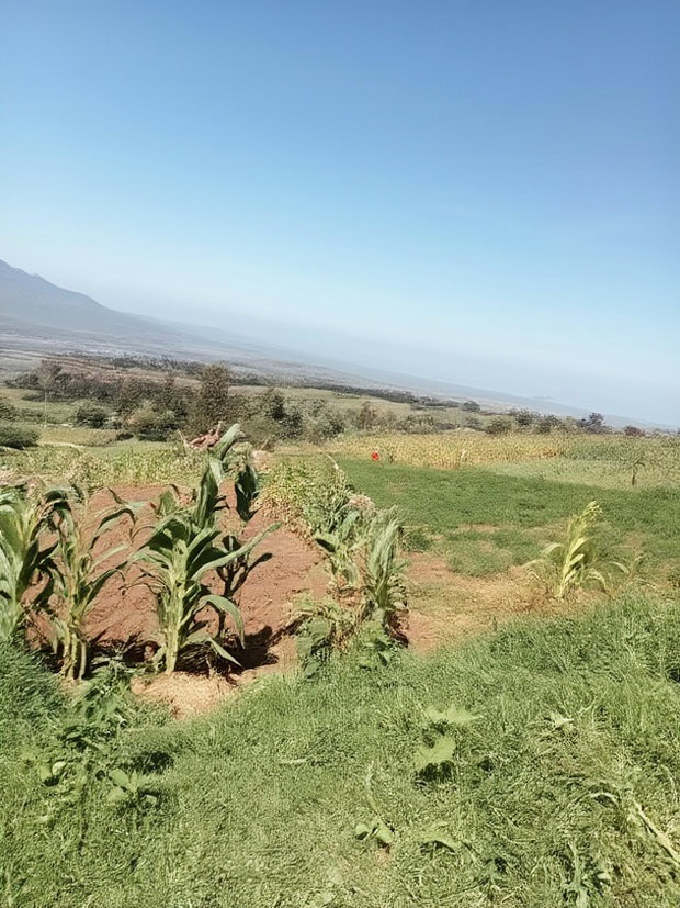 Land on Sale at Viewpoint Naivasha