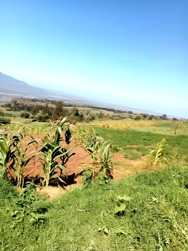 Land on Sale at Viewpoint Naivasha