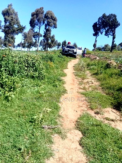 Land on Sale at Viewpoint Naivasha - Image 2