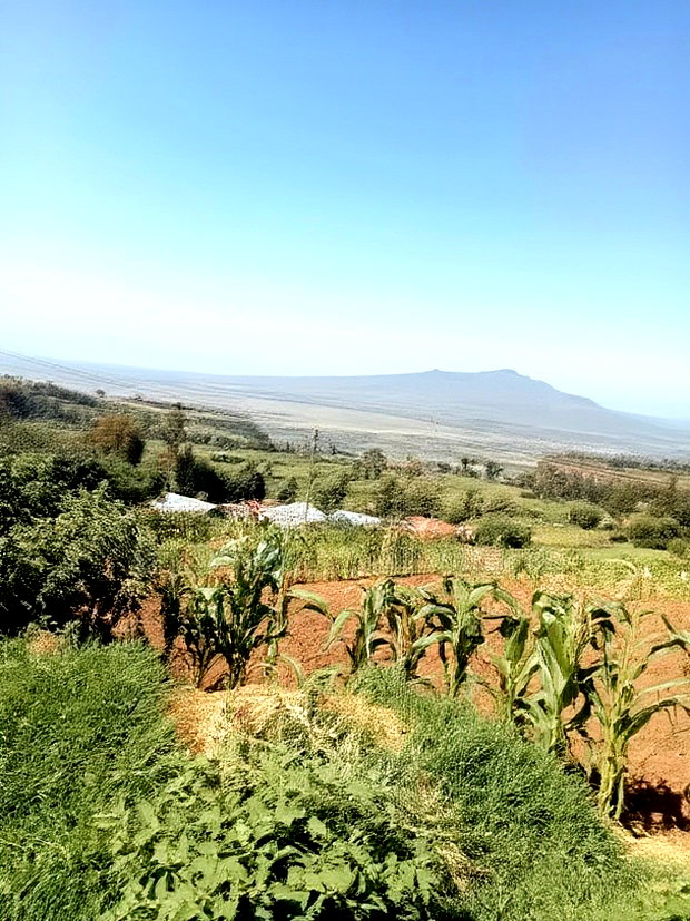 Land on Sale at Viewpoint Naivasha