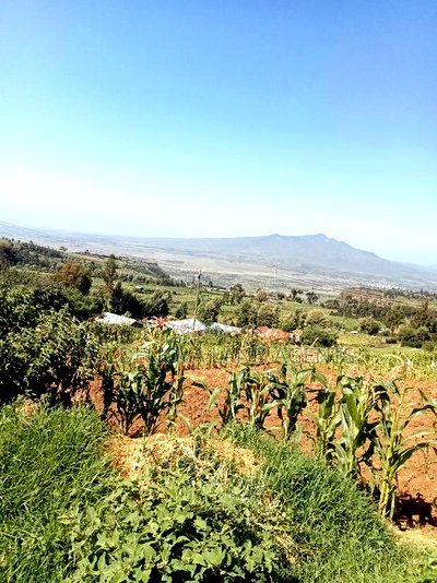 Land on Sale at Viewpoint Naivasha - Image 3