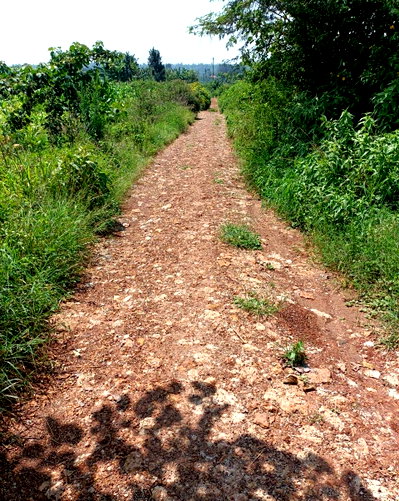 KSh 1.7M Plot in Thika Greens