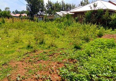 1.1M Plot with Garden in Suna Central
