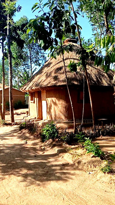 Land for Sale in Malava - Image 2