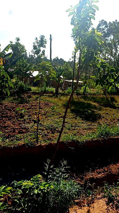 Land for Sale in Malava - Image 4